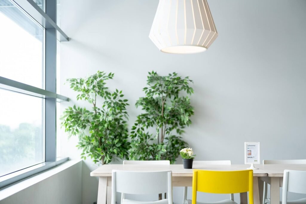 A minimal indoor calm corner with plants and soft lighting — a space for peace and presence.